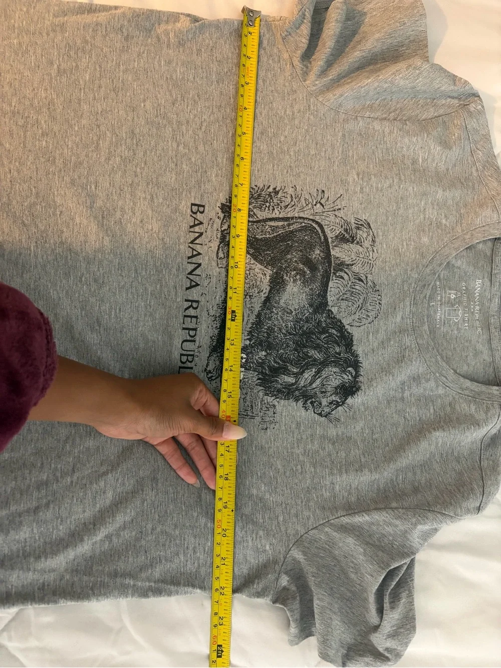 Men’s Banana Republic Graphic Tee